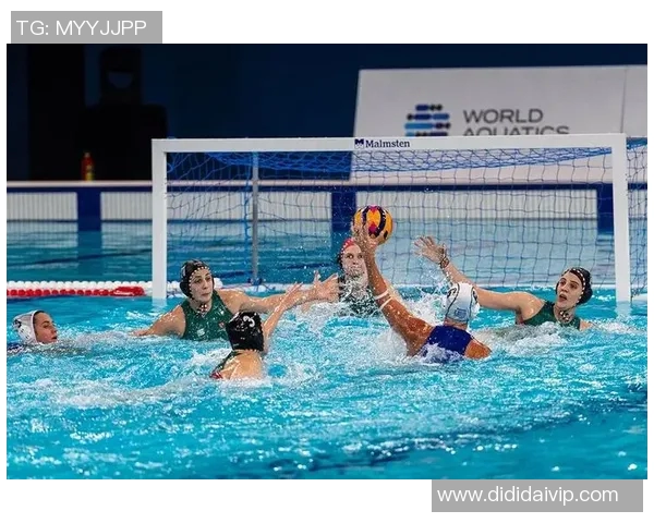 激烈对决！2025国际游泳比赛现场直播精彩瞬间全程追踪